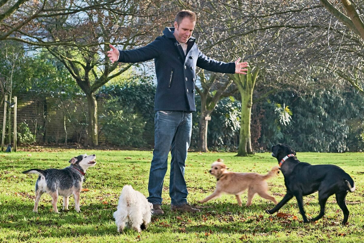 1 On 1 Dog Training – An Introduction